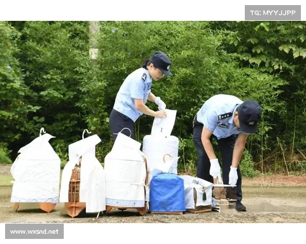 京小槌普法 _ 野生动物保护有法可依 非法狩猎、买卖万万不行